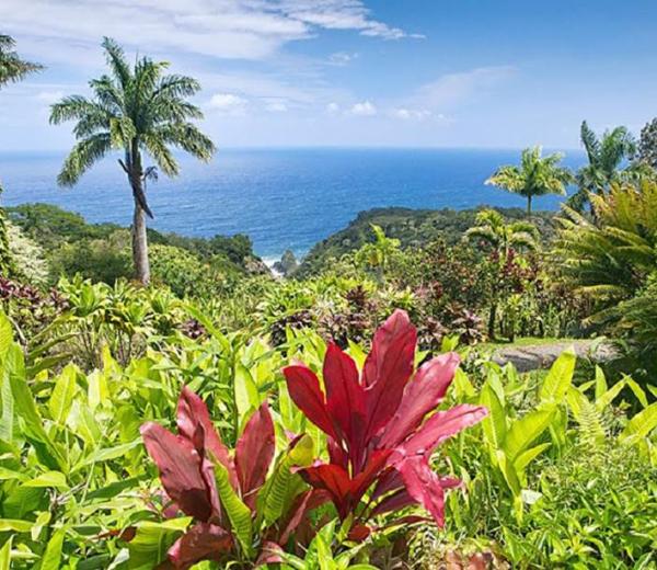 Der botanische Garten Hana Maui in Hawaii (USA) ist mit seiner Landschaft ein schönes Ziel auf ihrer Hawaii Kreuzfahrt.  
